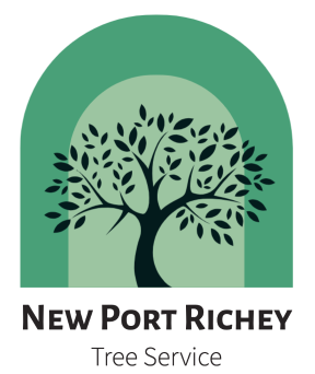 New Port Richey Tree Service